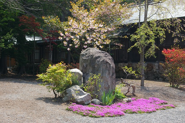 imgp3307.jpg