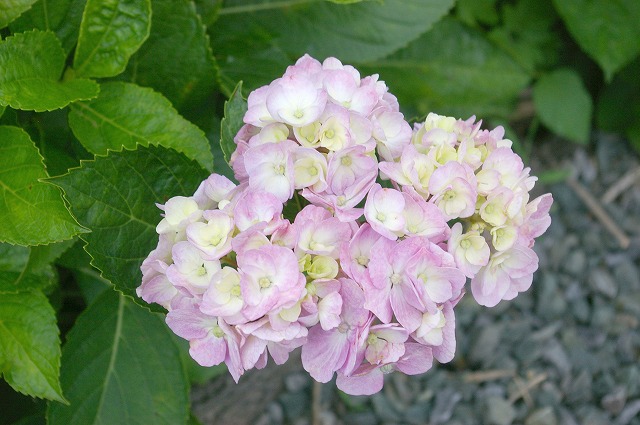 imgp3459.jpg